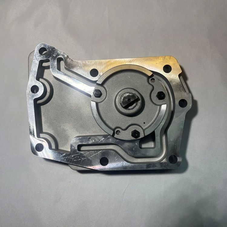 एल्यूमीनियम उत्पादों से बने ट्रकों के लिए 12V वाइड प्रेशर रेंज डीजल ईंधन पंप
